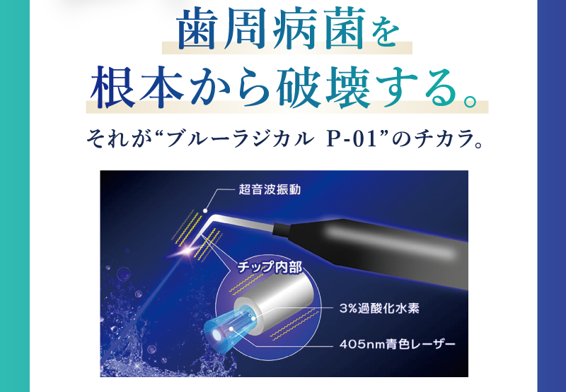 歯周病を根本から破壊する